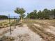 Spacious lot featuring mature trees and fencing, presenting a blank canvas for development at 1930 N Murphy St, Pahrump, NV 89060