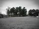 Expansive gravel property showcasing mature trees, creating a serene and natural landscape at 1930 N Murphy St, Pahrump, NV 89060