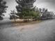 Shady yard with mature trees, providing a peaceful and serene environment at 1930 N Murphy St, Pahrump, NV 89060