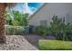 Low-maintenance backyard featuring desert landscaping, mature plants, and privacy hedges at 1978 Kachina Mountain Dr, Henderson, NV 89012
