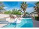 Backyard swimming pool surrounded by lush tropical palm trees under a blue sky at 1978 Kachina Mountain Dr, Henderson, NV 89012