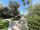 Serene walkway through the common area featuring mature landscaping and well-maintained grounds at 2480 Domingo St, Las Vegas, NV 89121