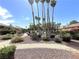 Well-manicured common area with desert landscaping and mature palm trees at 2480 Domingo St, Las Vegas, NV 89121