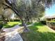 Lush green space with mature trees and walking paths enhancing the serene outdoor ambiance at 2480 Domingo St, Las Vegas, NV 89121