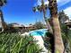 Sparkling community pool framed by lush landscaping and tall palm trees on a bright day at 2480 Domingo St, Las Vegas, NV 89121