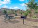 Community picnic area featuring picnic tables, barbecue grills, and seating with landscaping at 7128 Port Stephens St, North Las Vegas, NV 89084