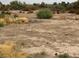 The expansive lot showcases the natural terrain, ready for customization and development at 810 Catherine Ave, Overton, NV 89040