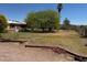 Expansive front yard with mature trees and desert landscaping, perfect for outdoor activities and relaxation at 810 Catherine Ave, Overton, NV 89040