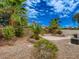 Desert landscaped backyard with palm trees and stone accents at 1115 Aldenwood Ave, Las Vegas, NV 89123