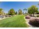 Beautifully maintained green space with mature trees, lush landscaping and walking paths at 1617 Cave Spring Dr, Henderson, NV 89014