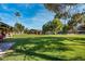 A lush backyard showcases an expansive lawn area, mature trees, and a glimpse of a covered structure and pool at 3455 Five Pennies Ln, Las Vegas, NV 89120