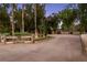 Long driveway leading to a home featuring mature trees and landscaping at 3455 Five Pennies Ln, Las Vegas, NV 89120