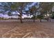 Expansive, vacant lot with mature trees, offering development potential and natural beauty at 3455 Five Pennies Ln, Las Vegas, NV 89120