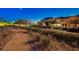 Planned community with desert landscaping, paved sidewalks, and street lights at 3514 Punta Tersiva Ln, Henderson, NV 89044