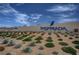 Inspiring community entrance sign set against a blue sky with lush desert landscaping at 3514 Punta Tersiva Ln, Henderson, NV 89044
