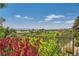 Expansive golf course view with red flowers, lush vegetation, desert landscape, and distant mountains against a blue sky at 4980 Pensier St, Las Vegas, NV 89135