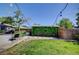 Well-maintained backyard with a grassy area, concrete patio, and shed covered in lush vines at 604 I, Boulder City, NV 89005