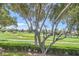 Serene view of a well-maintained golf course seen through a large, leafy tree at 1034 Tam O Shanter, Las Vegas, NV 89109