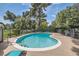 Beautiful kidney-shaped pool surrounded by lounge chairs, greenery, and a well-maintained patio area at 1034 Tam O Shanter, Las Vegas, NV 89109
