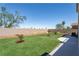 Well maintained backyard featuring green turf, a privacy wall and desert landscaping at 1136 Casady Hollow Ave, Henderson, NV 89012