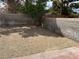 A fenced in backyard with a tree at 1249 Lucia Dr, Las Vegas, NV 89128