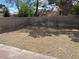 A fenced in backyard with trees at 1249 Lucia Dr, Las Vegas, NV 89128