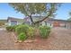 Charming single-story home featuring desert landscaping and a mature tree in the front yard at 127 Mauve St, Henderson, NV 89012