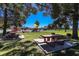 Scenic park setting with picnic tables and playground equipment surrounded by trees at 208 W Alma St, Overton, NV 89040