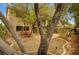 Backyard featuring mature trees and a patio area with the home's exterior in the background at 9017 Wolf Dancer Ave, Las Vegas, NV 89143