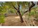 Landscaped backyard featuring a concrete patio surrounded by mature trees and shrubs at 9017 Wolf Dancer Ave, Las Vegas, NV 89143