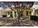 Home exterior featuring desert landscaping and mature tree at 2208 Spring Water Dr, Las Vegas, NV 89134