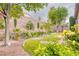 Beautiful backyard featuring lush plants, colorful roses, mature trees, and gravel walkways at 2383 Rainswept Ave, Henderson, NV 89052