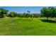 Expansive backyard featuring lush green grass and mature trees at 2409 Cockatiel Dr, North Las Vegas, NV 89084