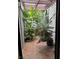 Lush atrium featuring tropical plants and natural light, creating a peaceful indoor oasis at 2484 Domingo St, Las Vegas, NV 89121