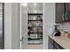 Walk-in pantry featuring ample shelving and storage space for organization and convenience at 2518 Veronella St, Henderson, NV 89044