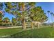 Picturesque neighborhood park featuring picnic tables at 3151 Soaring Gulls Dr # 1168, Las Vegas, NV 89128