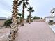 Low maintenance backyard with palm trees and barbecue at 5704 Burdel St, Las Vegas, NV 89149
