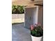Backyard with storage shed and potted plant, enhancing the outdoor appeal of the property at 7650 Butterscotch Ct, Las Vegas, NV 89131