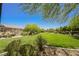 Wide open community green space with mature trees and lush green grass at 9490 Thunder Sky St # 102, Las Vegas, NV 89178