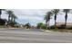 Wide street view leading to a charming neighborhood with lush landscaping and palm trees at 10015 Wonderful Day Dr, Las Vegas, NV 89148