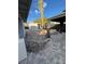 Backyard featuring modern hardscape, stucco exterior, and a small palm tree at 321 Beaumont St, Las Vegas, NV 89106