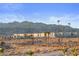 Desert landscape with palm trees and buildings backed by striking mountain views under a blue sky at 3550 Bay Sands Dr # 2101, Laughlin, NV 89029