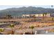 Desert landscape with palm trees and buildings backed by striking mountain views at 3550 Bay Sands Dr # 2101, Laughlin, NV 89029