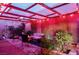 Charming outdoor patio with string lights, lush greenery, and comfortable seating area at 3789 Heritage Ave, Las Vegas, NV 89121