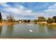 Scenic pond view with swans and a fountain, creating a tranquil and picturesque setting at 4924 Cedar Lawn Way, Las Vegas, NV 89130