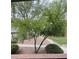 View of landscaped grounds with mature trees at 555 E Silverado Ranch Blvd # 1034, Las Vegas, NV 89183