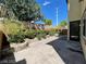 Backyard featuring a concrete patio and landscaped planters at 7733 Donner Peak St, Las Vegas, NV 89166
