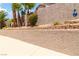 Elevated planter bed with palms, shrubs and accent lighting in backyard at 8326 Mount Nido Dr, Las Vegas, NV 89147