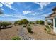 Expansive backyard with desert landscaping, rock stream, and mature trees at 1613 Williamsport St, Henderson, NV 89052