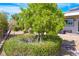 Landscaped backyard with mature tree, stone retaining wall, and a gravel ground cover at 1613 Williamsport St, Henderson, NV 89052